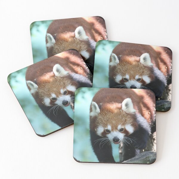 Item preview, Red Panda 001 designed and sold by JAMFoto.