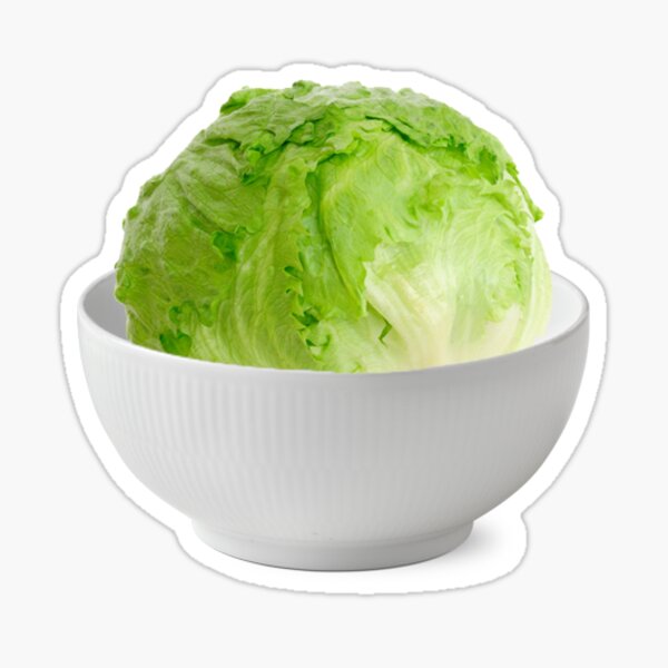 Just a head of lettuce....in a bowl Sticker