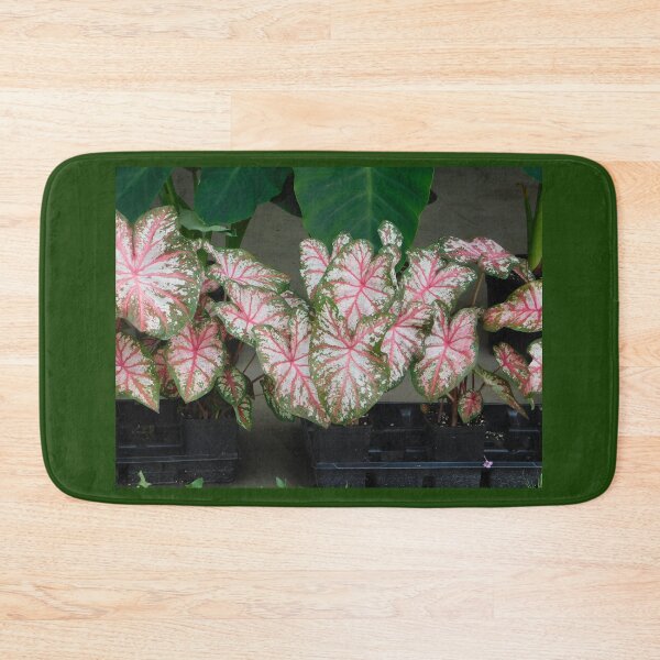 Item preview, Coleus designed and sold by ctheworld.
