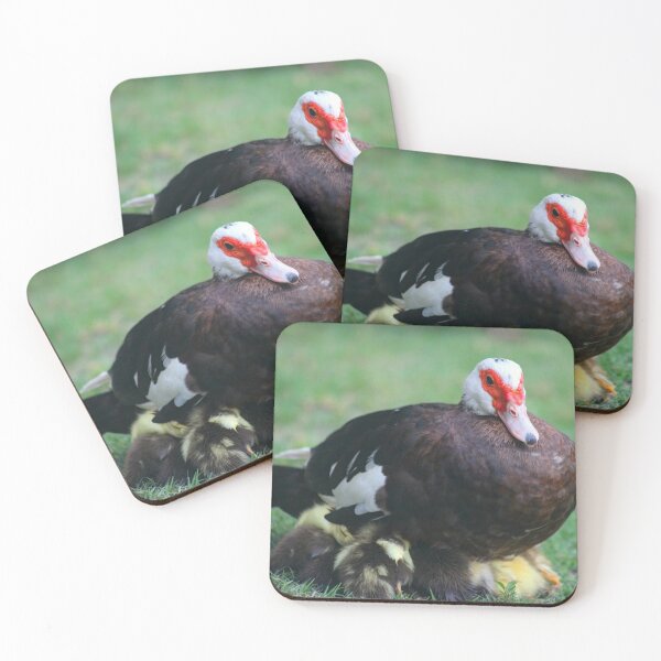 Item preview, Ducklings designed and sold by zumi.