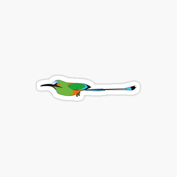 Item preview, Turquoise-Browed Motmot (Torogoz/Guardabarranco) designed and sold by jorellaf.