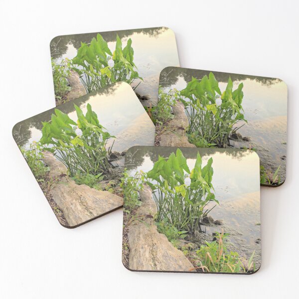 Item preview, Beed's Shore designed and sold by LynyrdSky.