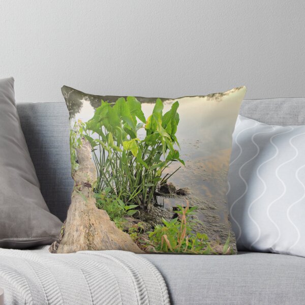 Item preview, Beed's Shore designed and sold by LynyrdSky.