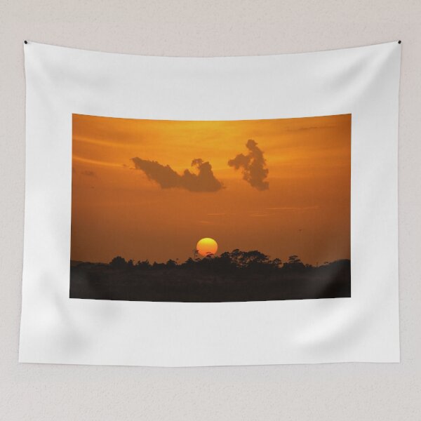 Item preview, Sunny setting designed and sold by zumi.