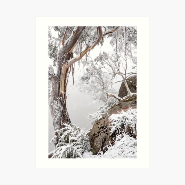 Ethereal Art Print