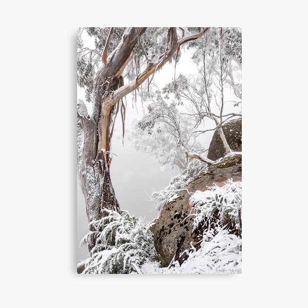 Ethereal Canvas Print