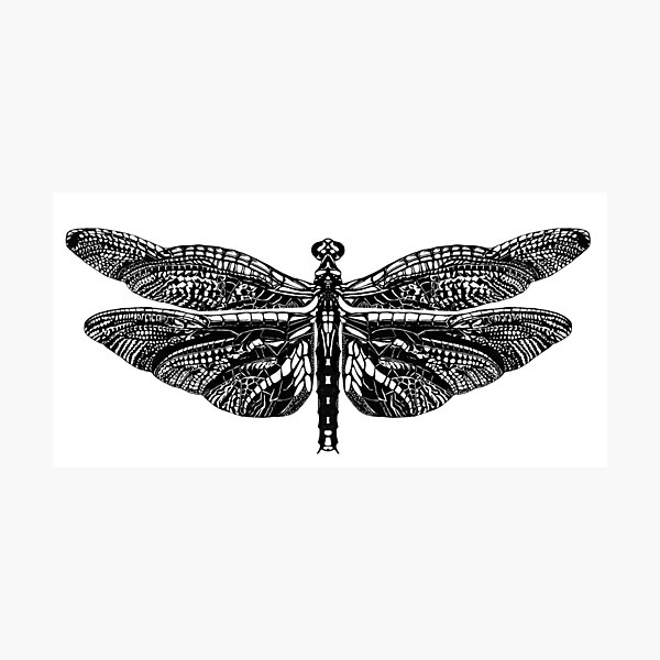 Item preview, Dragonfly designed and sold by Jackson Compton.
