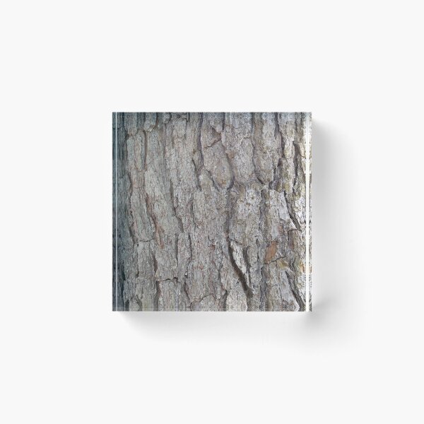 Item preview, Old Pine Bark designed and sold by Cleave.