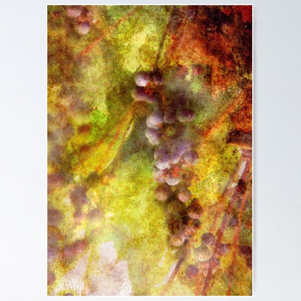 Item preview, Kitchen - Wine - Grapes designed and sold by Mike Savad Photography.