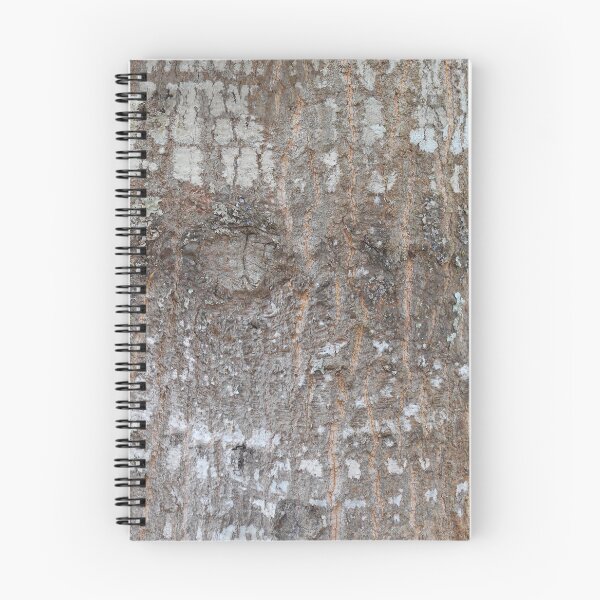 Aperçu de l'œuvre Live Oak Bark créée et vendue par Cleave.