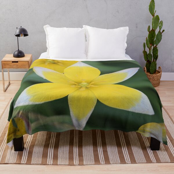 Item preview, Yellow Tulip Dasystemon Tarda designed and sold by Susie Kramer.
