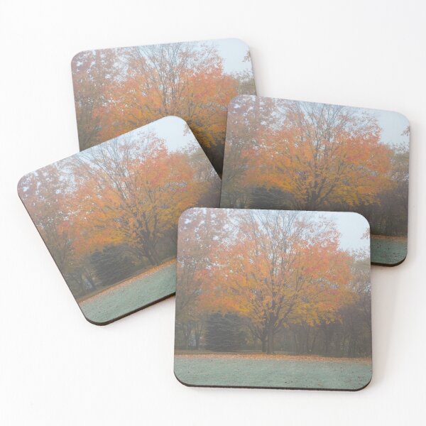 Item preview, My Favorite Tree designed and sold by Susie Kramer.