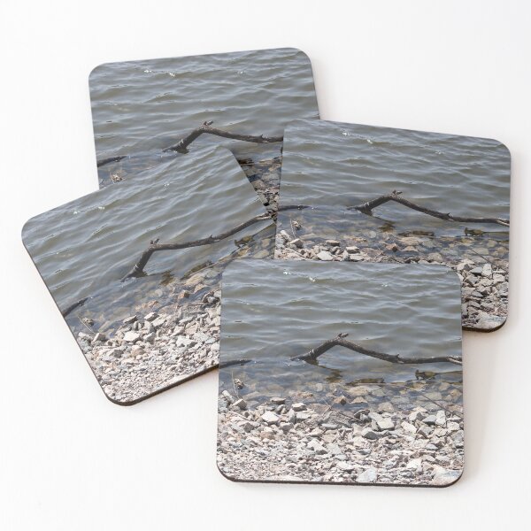 Item preview, Rocky Beach designed and sold by Susie Kramer.