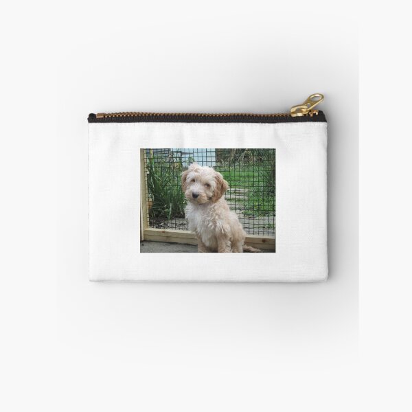 Item preview, Cockerpoo puppy designed and sold by stude.