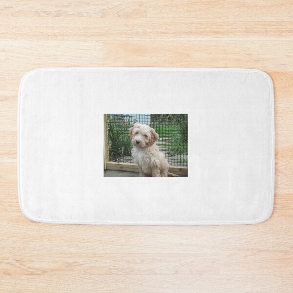 Item preview, Cockerpoo puppy designed and sold by stude.