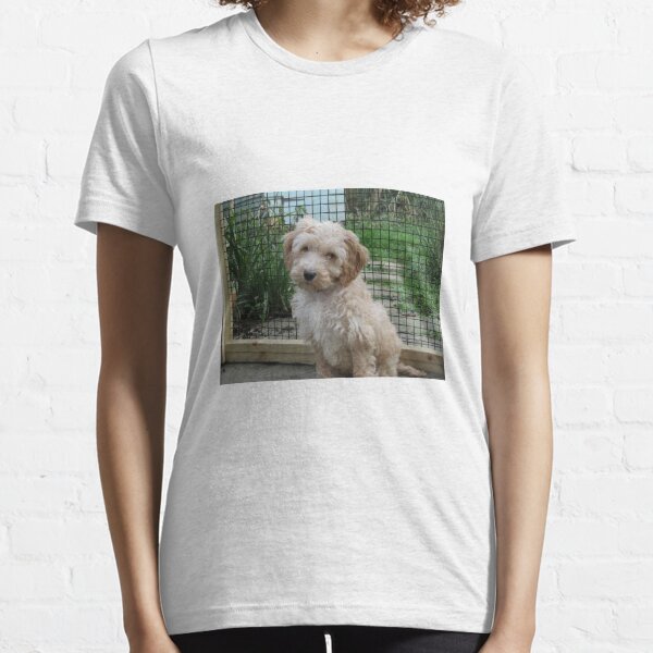 Cockerpoo Geschenke Merchandise Redbubble