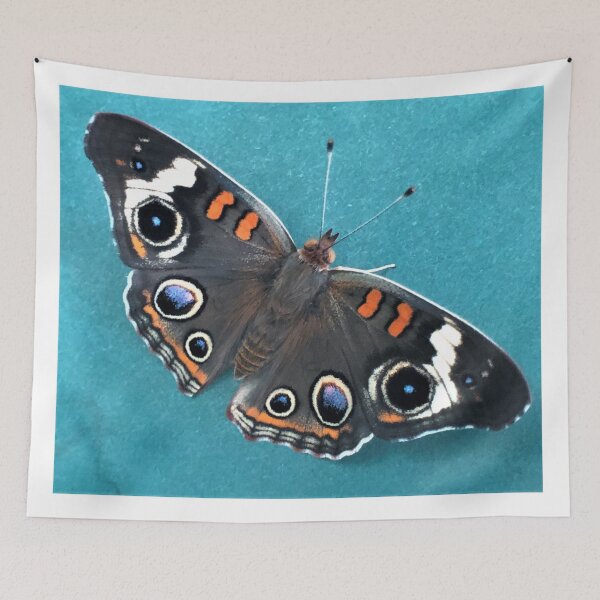 Aperçu de l'œuvre Papillon Buckeye sur fond turquoise créée et vendue par JanineEK.