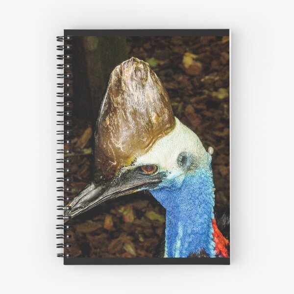 Item preview, Head of a Cassowary designed and sold by DPalmer.