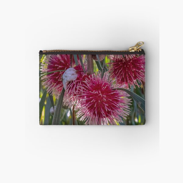 Item preview, Hakea Laurina - group designed and sold by DPalmer.