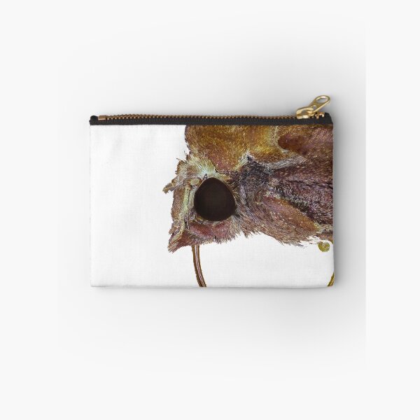 Item preview, Moth with its nectar Tonge out  designed and sold by peterwyatt.