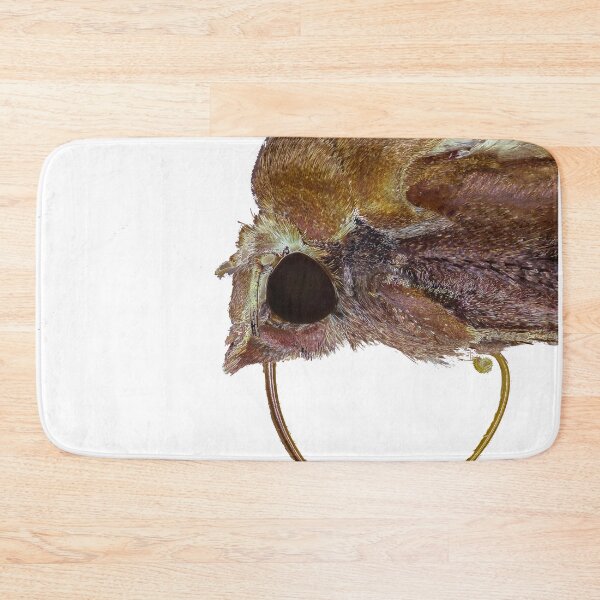 Item preview, Moth with its nectar Tonge out  designed and sold by peterwyatt.