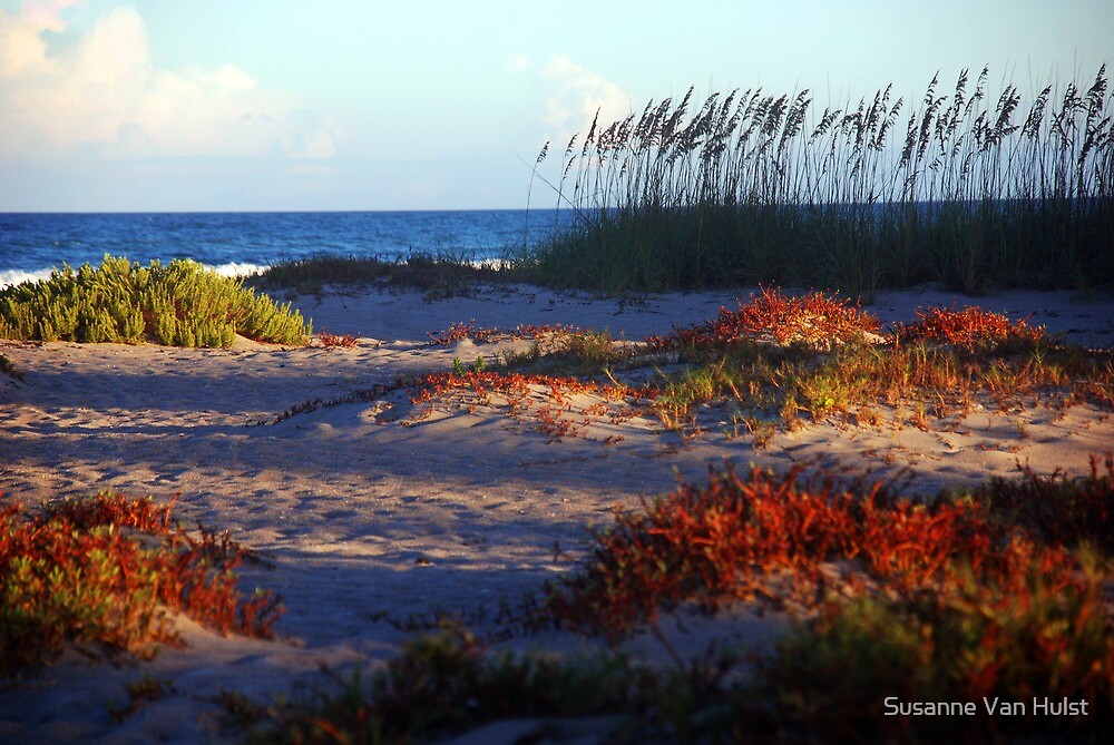 "Sand Dunes at Cocoa Beach, FL " by Susanne Van Hulst Redbubble