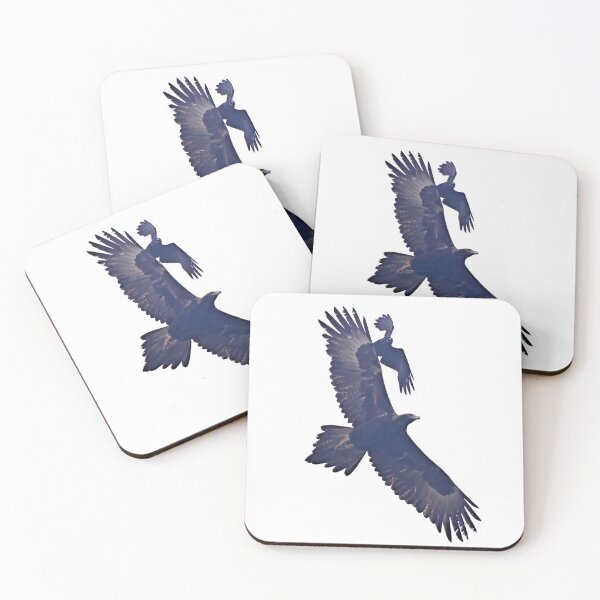 Artikelvorschau, RAPTOR ~ Keilschwanzadler NY3WN7F9 von David Irwin entworfen und verkauft von tasmanianartist.