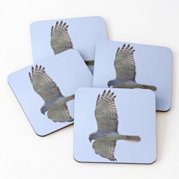 Artikelvorschau, RAPTOR ~ Swamp Harrier WH3TDYTB von David Irwin entworfen und verkauft von tasmanianartist.