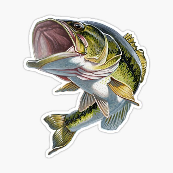 Funny Fish Sticker Striped Bass Boat Decal Bass Fishing Sticker Vinyl  Laptop Freshwater Fish Decal Gift for Fisherman Grandpa Fathers Day #5 by  Lukas
