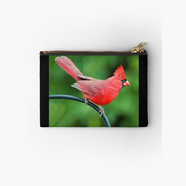 Item preview, Daredevil designed and sold by Catherine Melvin.