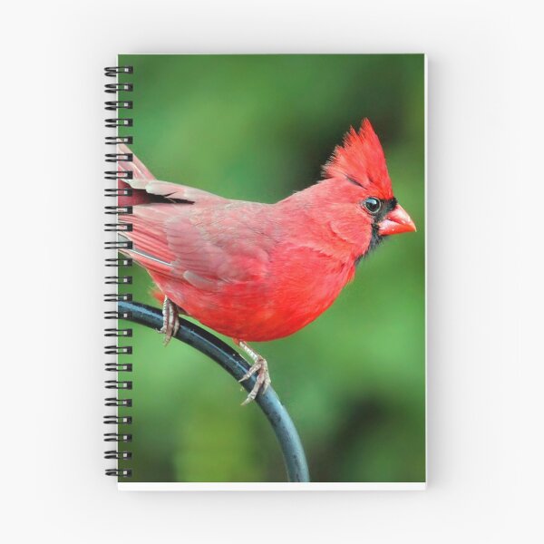 Item preview, Daredevil designed and sold by Catherine Melvin.