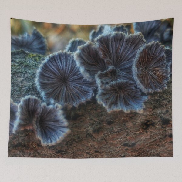 Item preview, Tree Fungus  designed and sold by The Rage Garden.