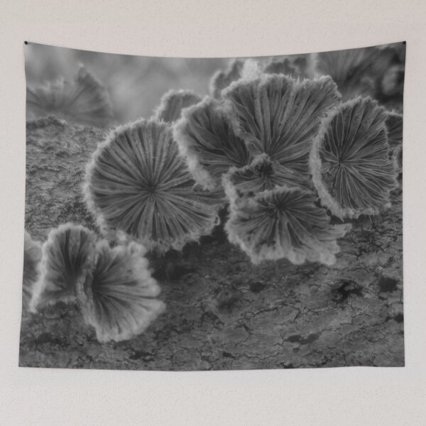 Item preview, Tree Fungus Black and White designed and sold by The Rage Garden.