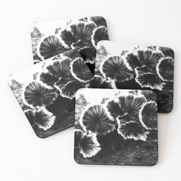 Item preview, Tree Fungus High Contrast  designed and sold by The Rage Garden.