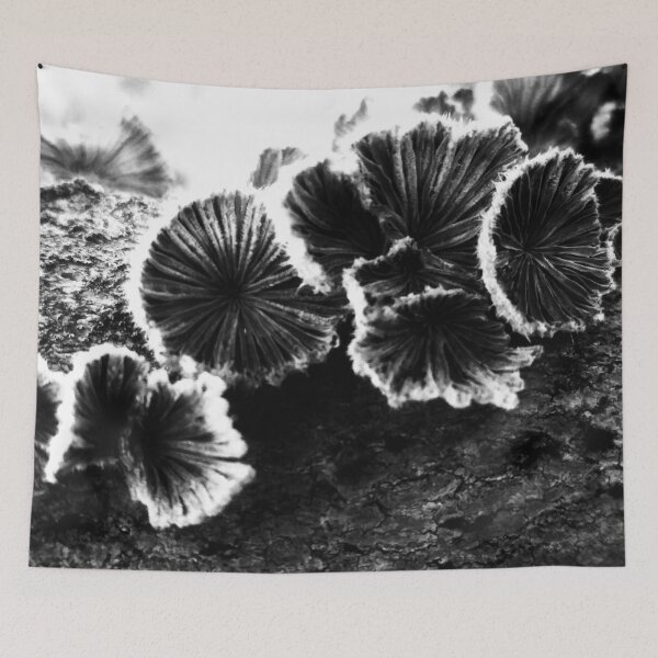 Item preview, Tree Fungus High Contrast  designed and sold by The Rage Garden.