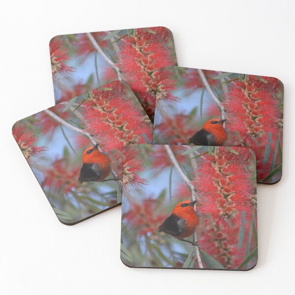 Item preview, Scarlet Honeyeater designed and sold by Kerryn Wood.