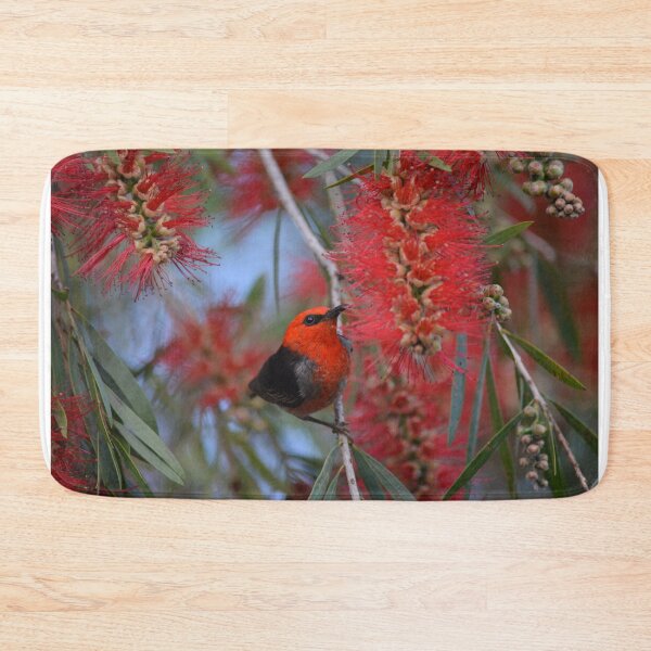 Item preview, Scarlet Honeyeater designed and sold by Kerryn Wood.