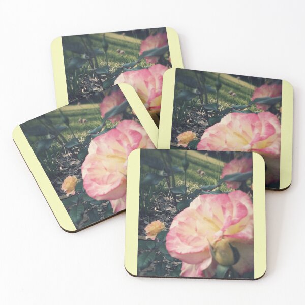 Item preview, Rosas en el jardín, foto de la naturaleza por Courtney Hatcher designed and sold by cghatcherart.