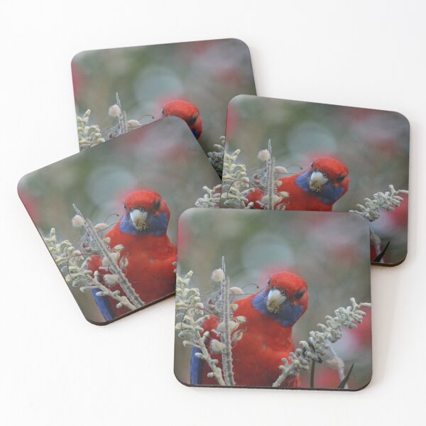 Item preview, Australian Crimson Rosella designed and sold by Kerryn Wood.