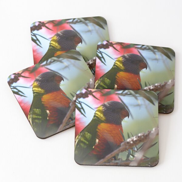 Item preview, Rainbow Lorikeet designed and sold by Kerryn Wood.
