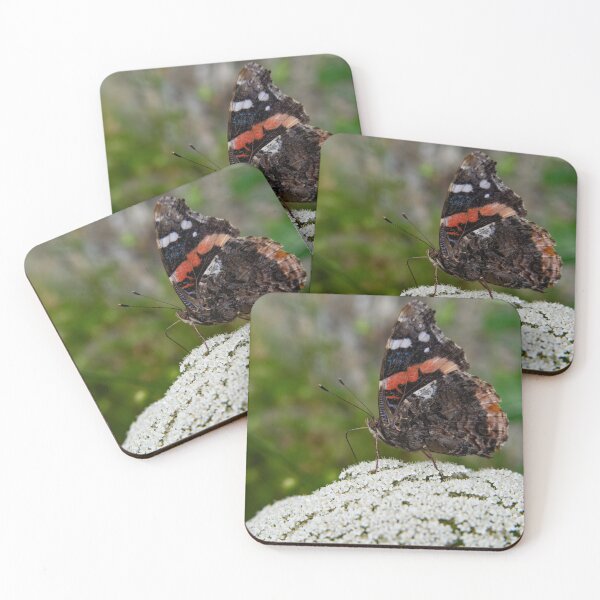 Item preview, Red Admiral designed and sold by ArtGalt.