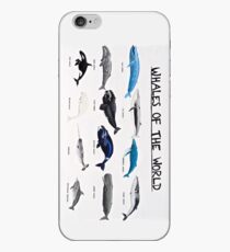 Wale der Welt Chart iPhone-Hülle & Cover