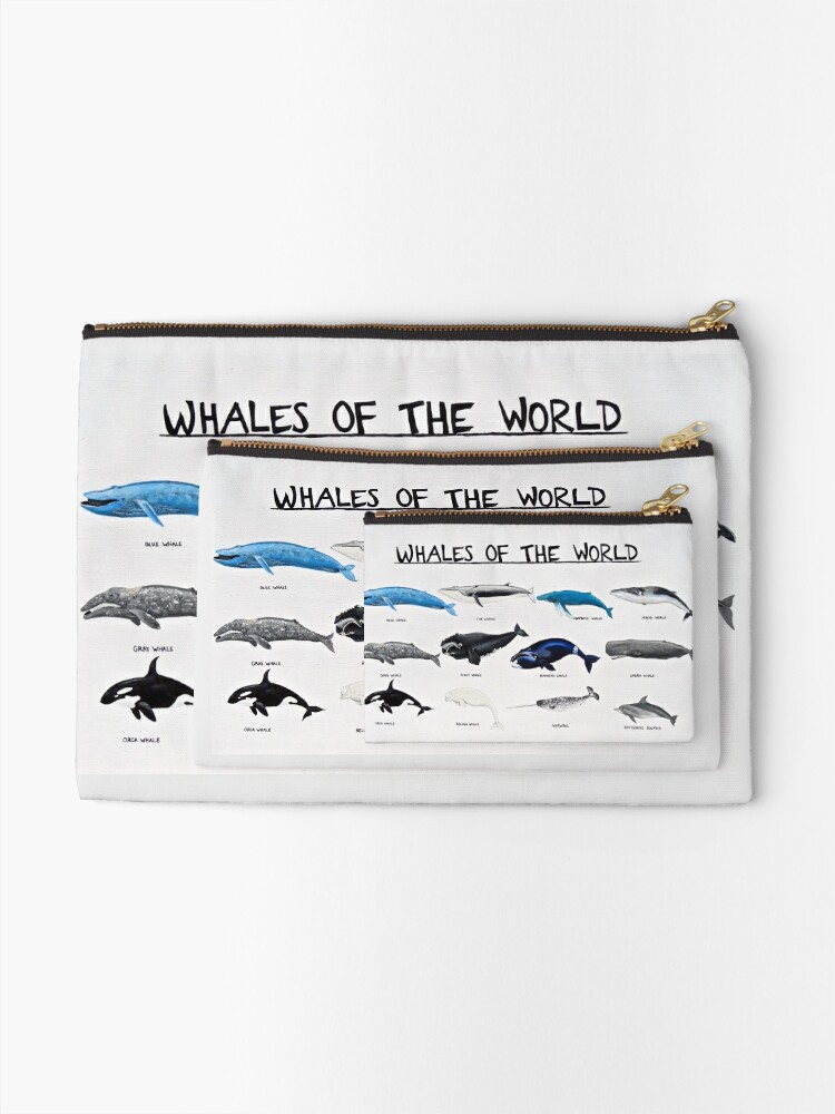 Orca Whale Size Chart