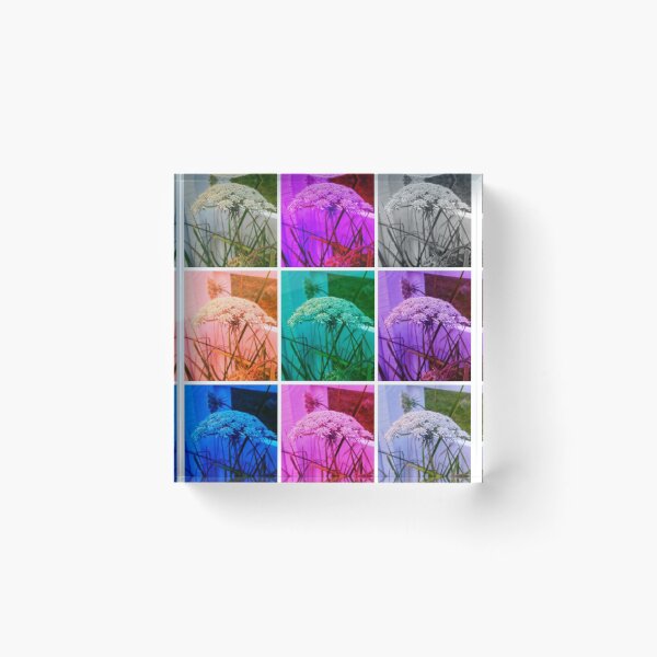 Item preview, Color Block Queen Annes Lace Collage designed and sold by The Rage Garden.