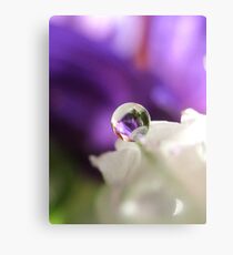 My Last Marble Canvas Print