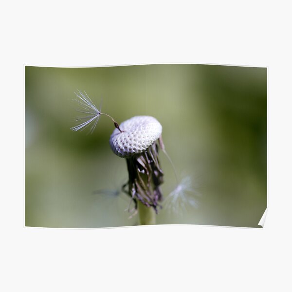 Just Hangin' Around Poster