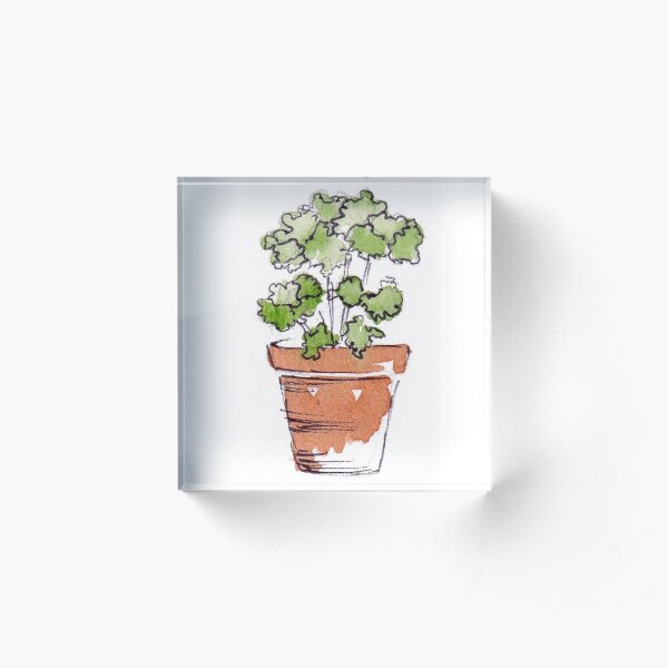Herbs in pots - Parsley Acrylic Block