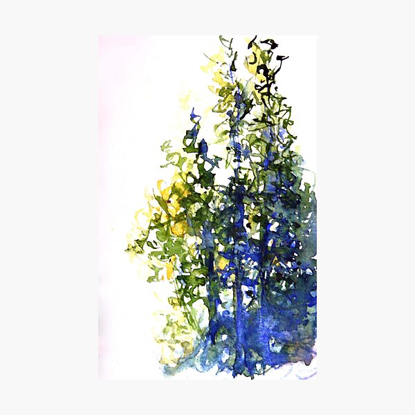 Cottonwood Trees in watercolor by CheyAnne Sexton Photographic Print