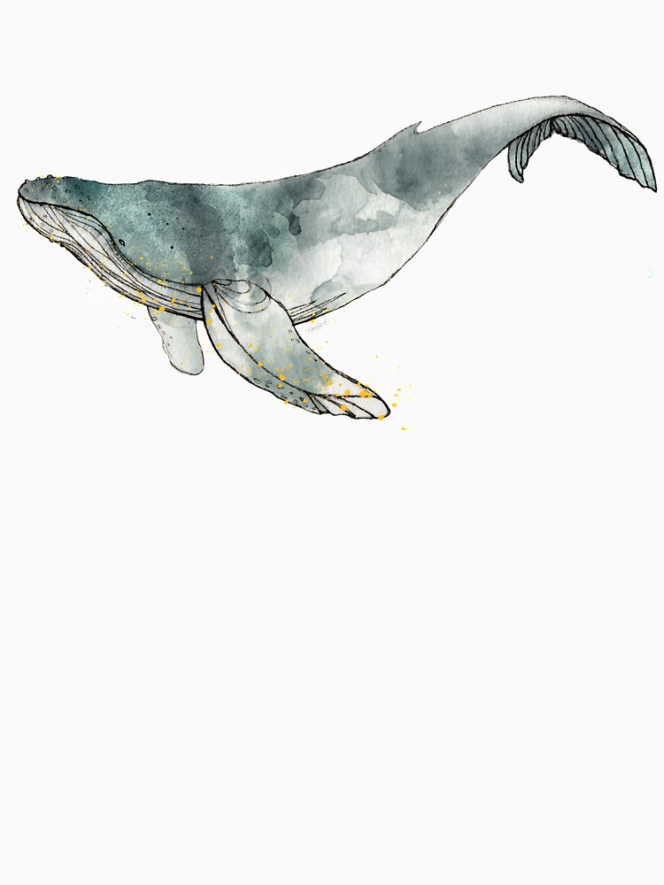 Humpback Whale by AmyHamilton