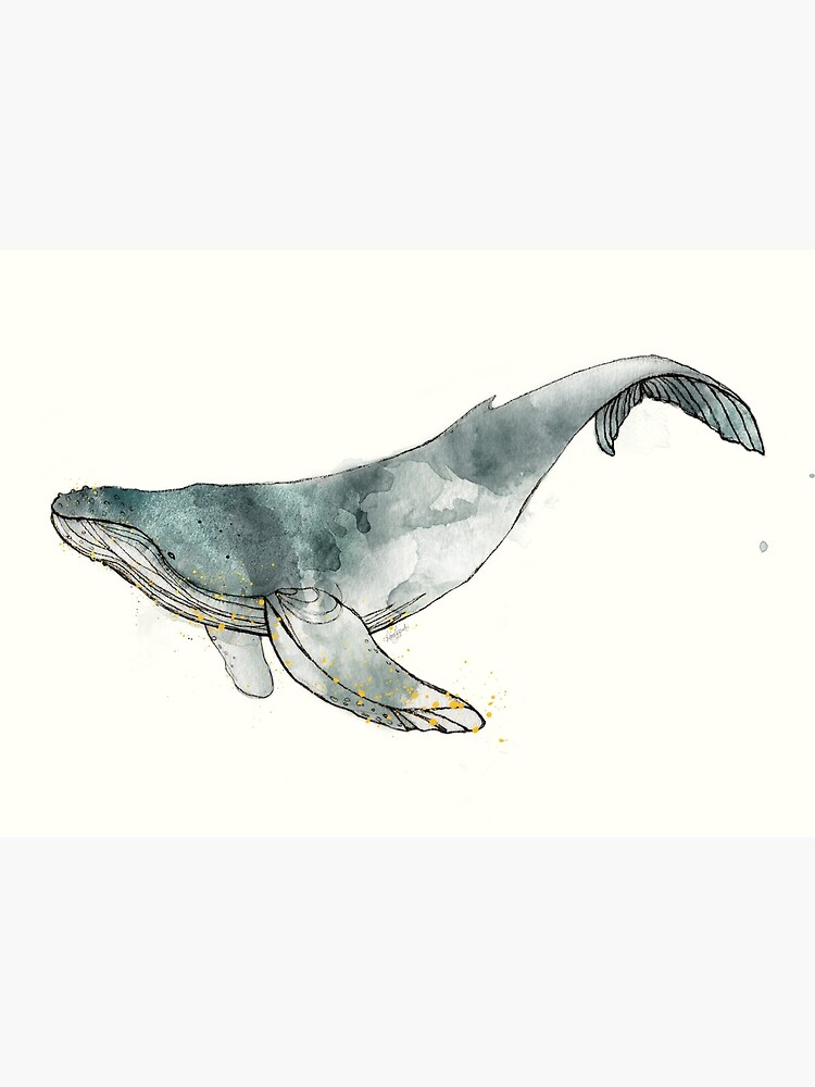 Thumbnail 3 of 3, Photographic Print, Humpback Whale designed and sold by Amy Hamilton.